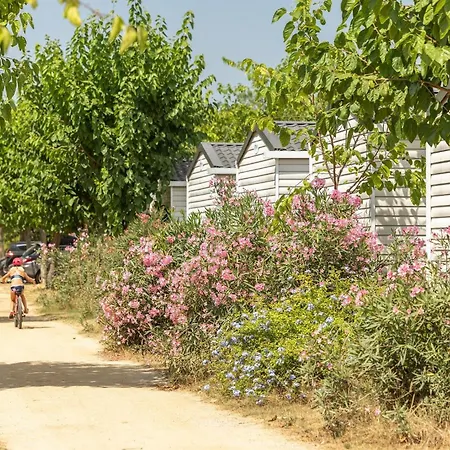 El Pinar Blanes