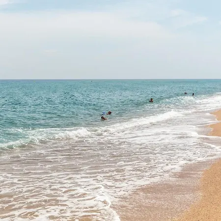 El Pinar Blanes