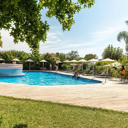 Campsite El Pinar